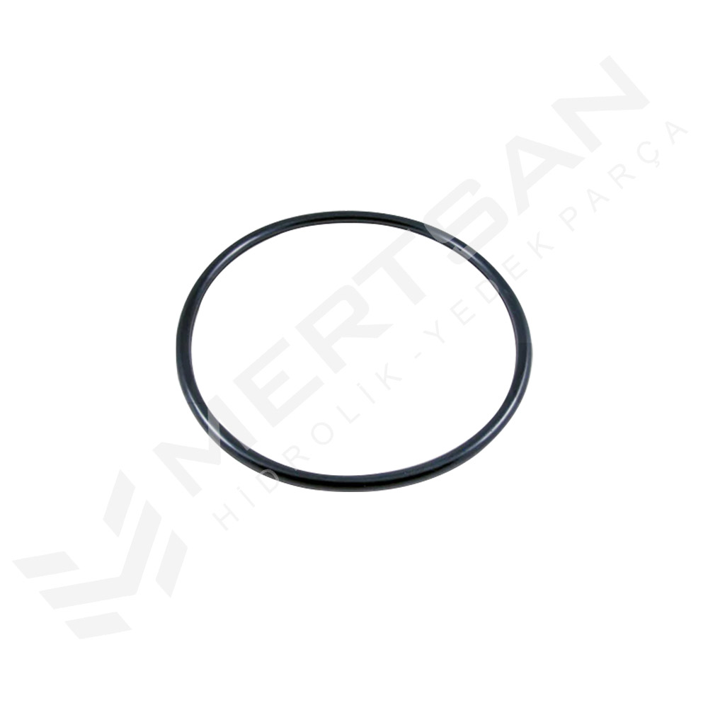 O-RING 200x10